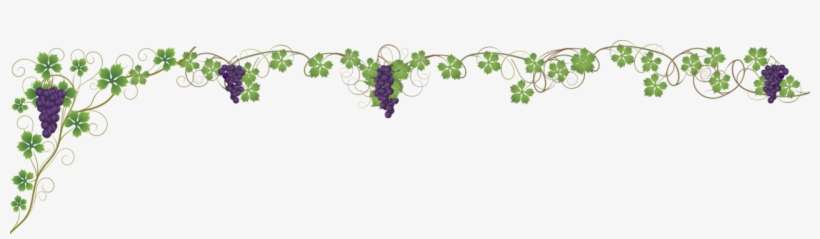 Tratamientos Estéticos Faciales En Uvamiel, transparent png download