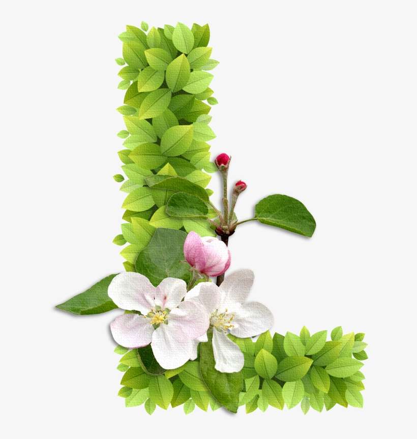 Ch - B *✿* - Abecedario Con Plantas, transparent png download