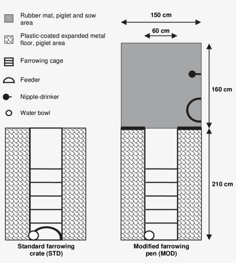 Schematic Drawing Of The Two Farrowing Pen Types - Drawing, transparent png download