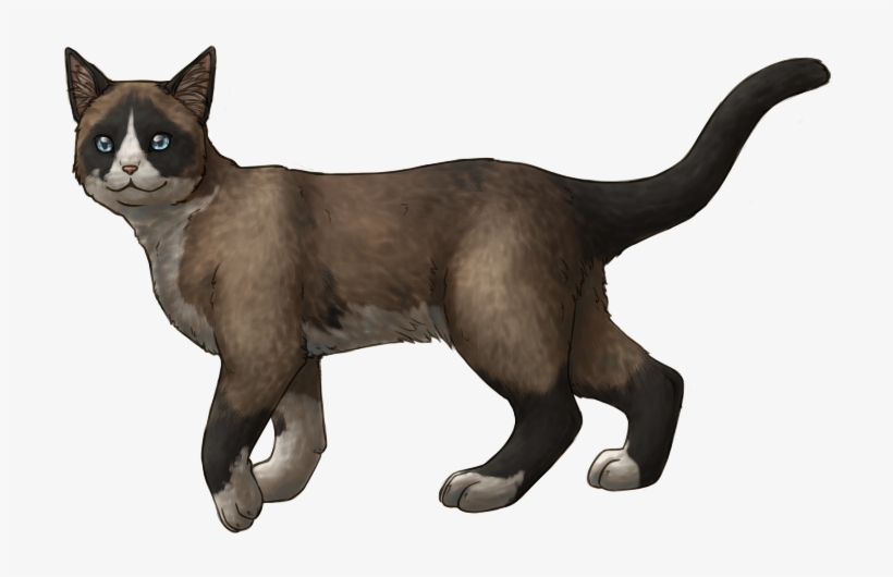 Example Snowshoe Cat Walking - Cat Walking Png Transparent, transparent png download