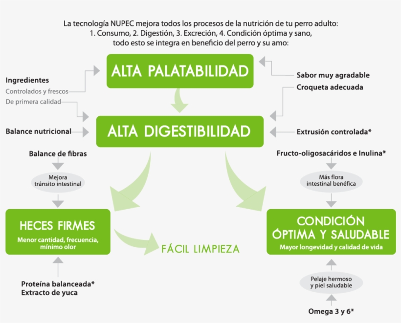 Croquetas Nupec® Adulto - Adulto Nupec, transparent png download