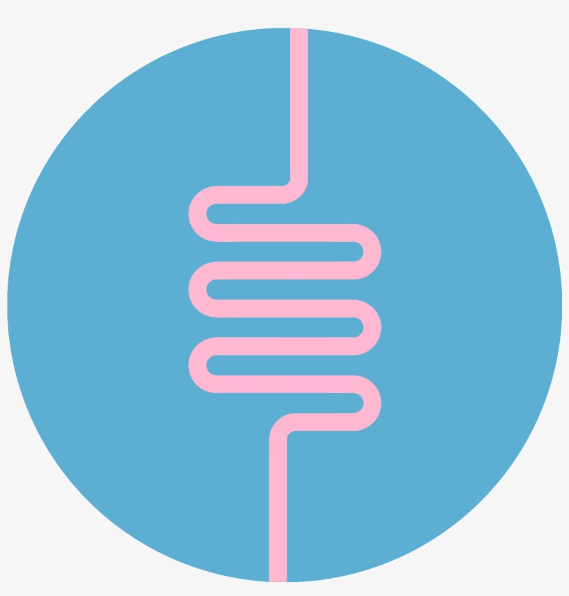 Gut Development And Function In Response To Maternal - Circle, transparent png download
