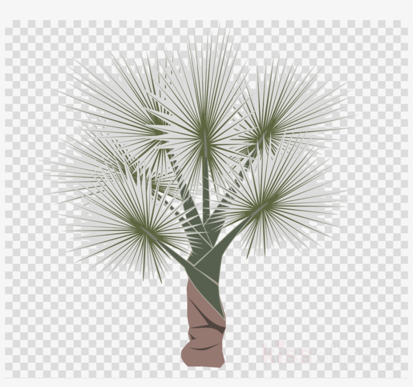 Icon Clipart Palm Trees Computer Icons Clip Art - Clip Art, transparent png download