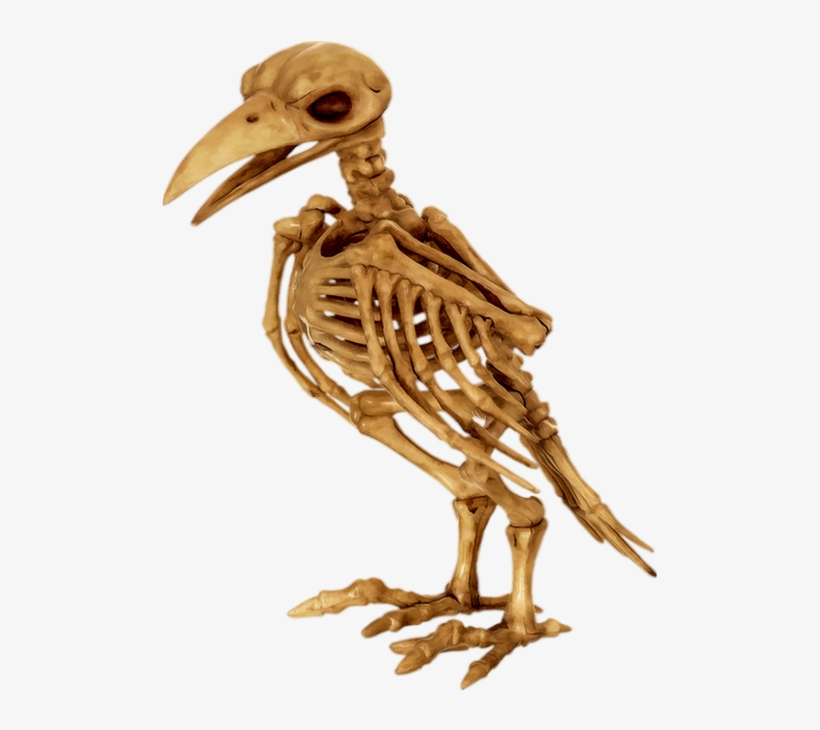 Tube Halloween - Crazy Bonez Skeleton Raven, transparent png download