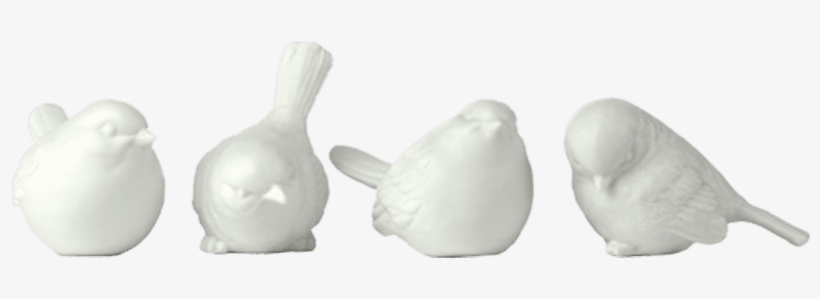 “sparrow” Set Of 4 Small Birds - Skull, transparent png download