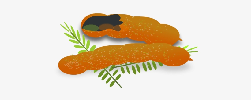Clip Arts Related To - Tamarind Clipart, transparent png download