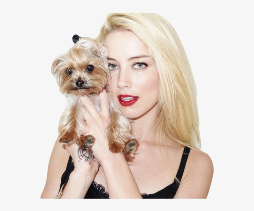 Share This Image - Amber Heard, transparent png download