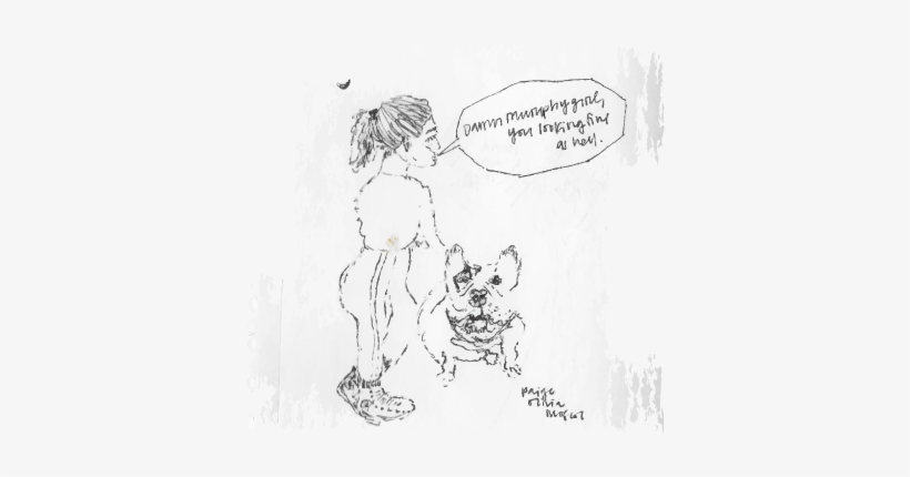 French Bulldog Illustration - Sketch, transparent png download