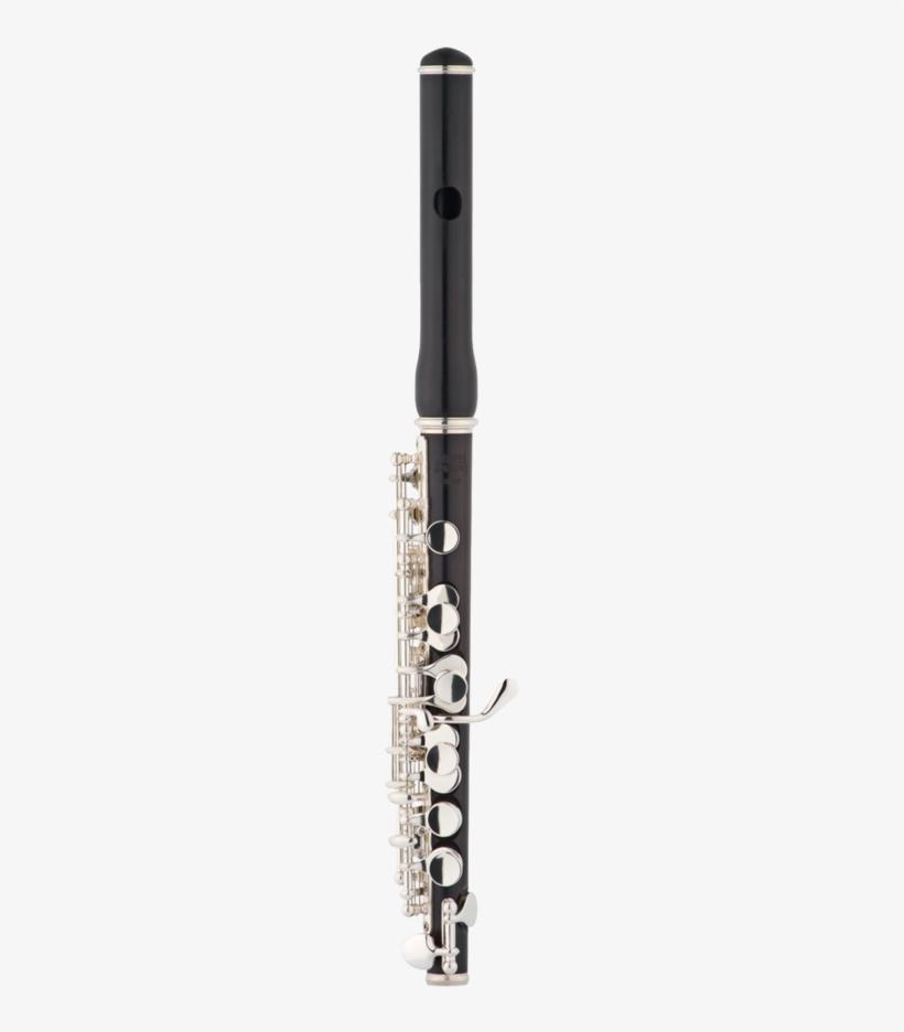 Jupiter Series Flute In - Flute, transparent png download