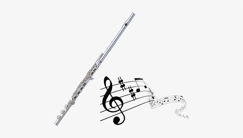 Contact David Summer - Piano Part To Viola Friends 1: Accompaniment, transparent png download