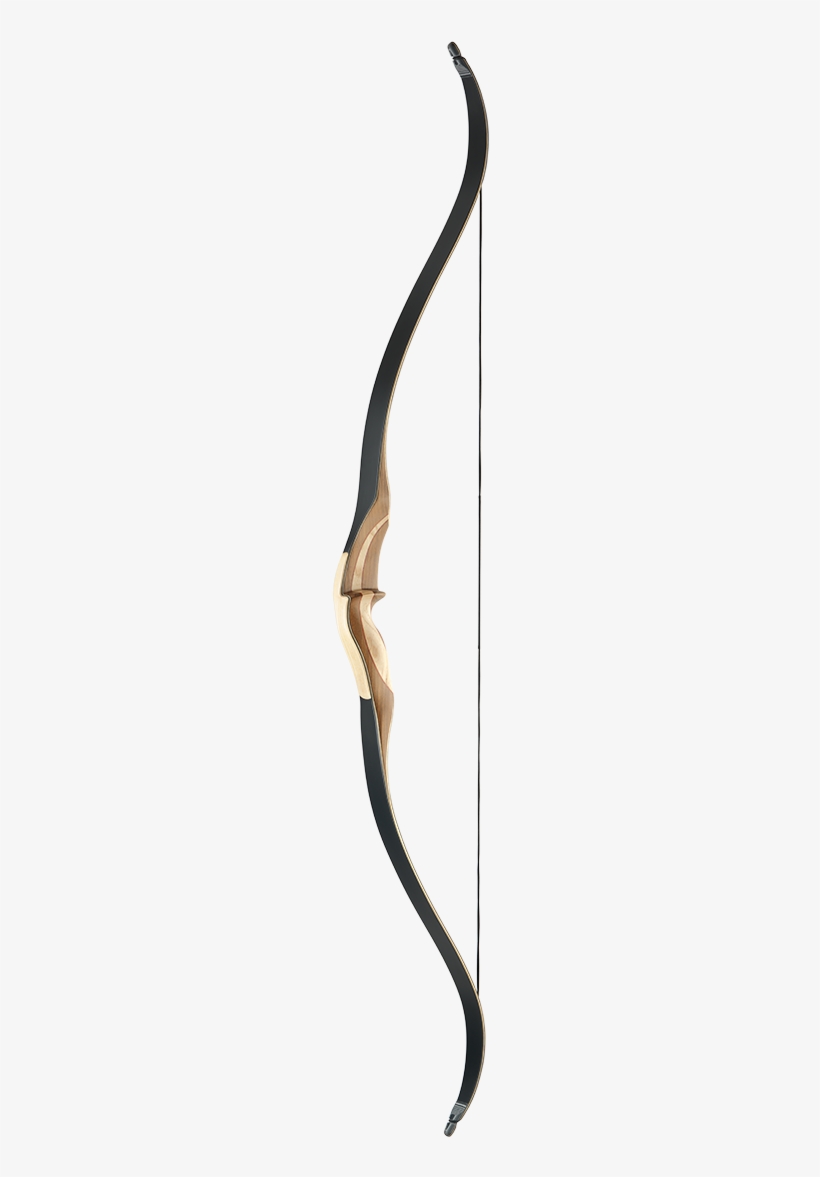 Jaguar, transparent png download