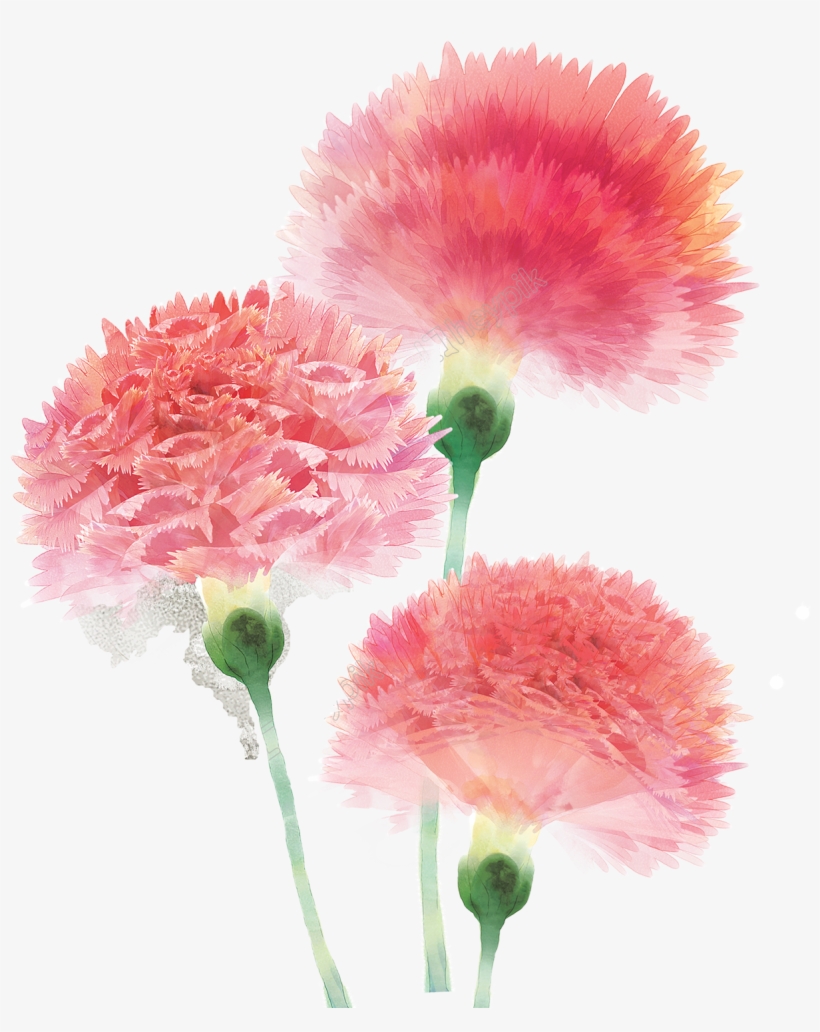 Carnation Clipart Mothers Day Free Png Logo Coloring - Unique Bargains Sofa Cotton Linen Flower Pattern Waist, transparent png download