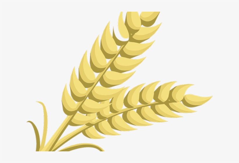 Wheat Clipart Transparent Background - Wheat Clipart, transparent png download