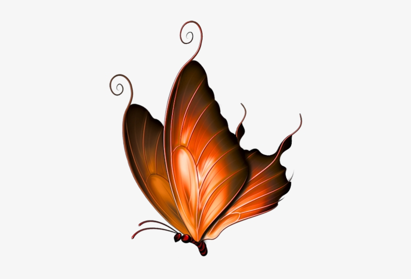 October 2015 « Archive - Pink Butterfly Throw Blanket, transparent png download