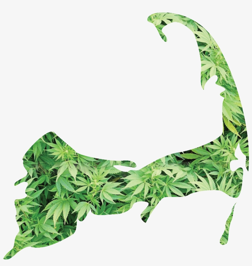 Cape Cod Cannabis Network - Mask, transparent png download