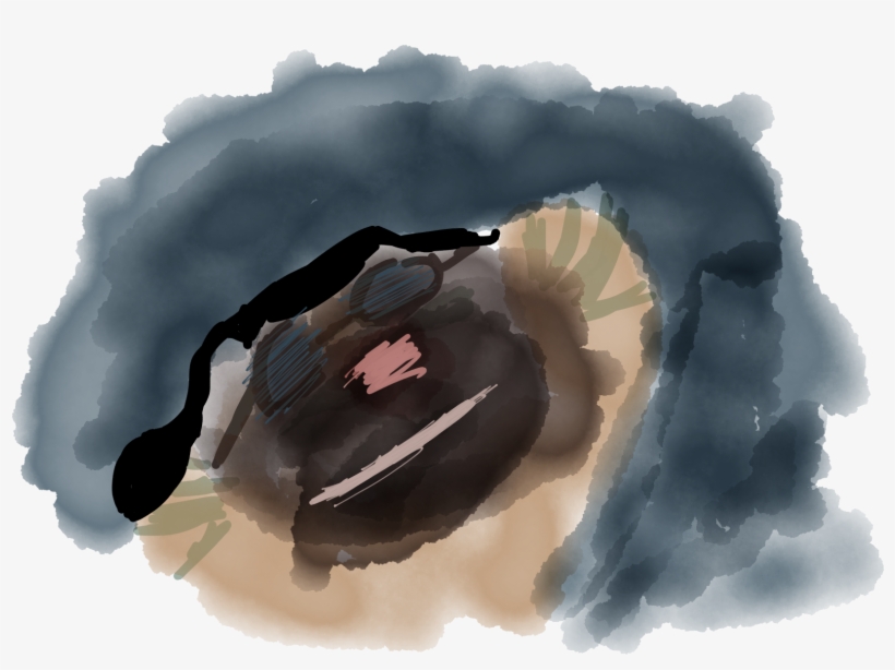 Messing Around With Paper By 53 App - Watercolor Paint, transparent png download