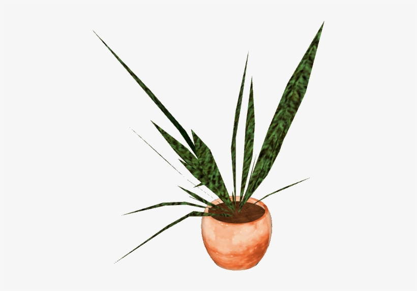 Potted Plant - Houseplant, transparent png download