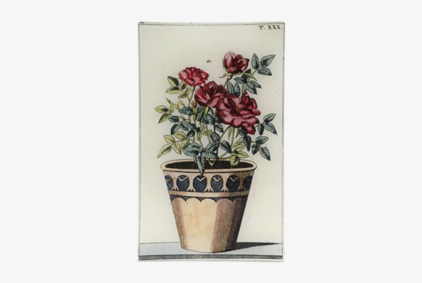 Potted Rose Potted Rose - Flowerpot, transparent png download