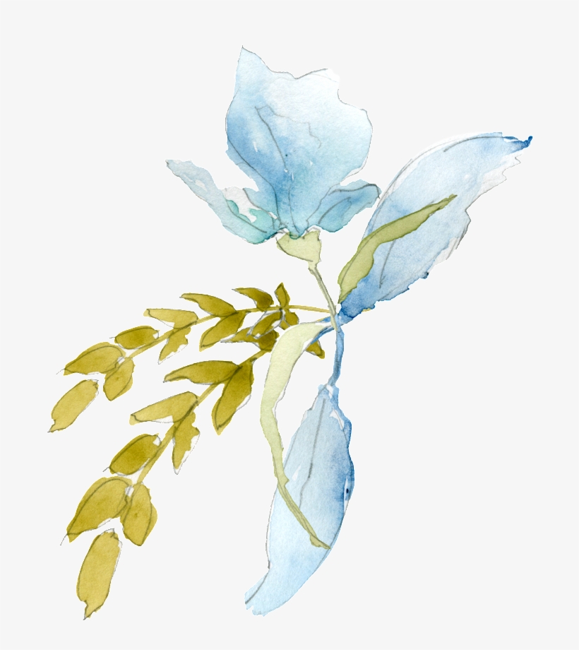 Sky Blue Petals Transparent Decorative - Watercolor Painting, transparent png download