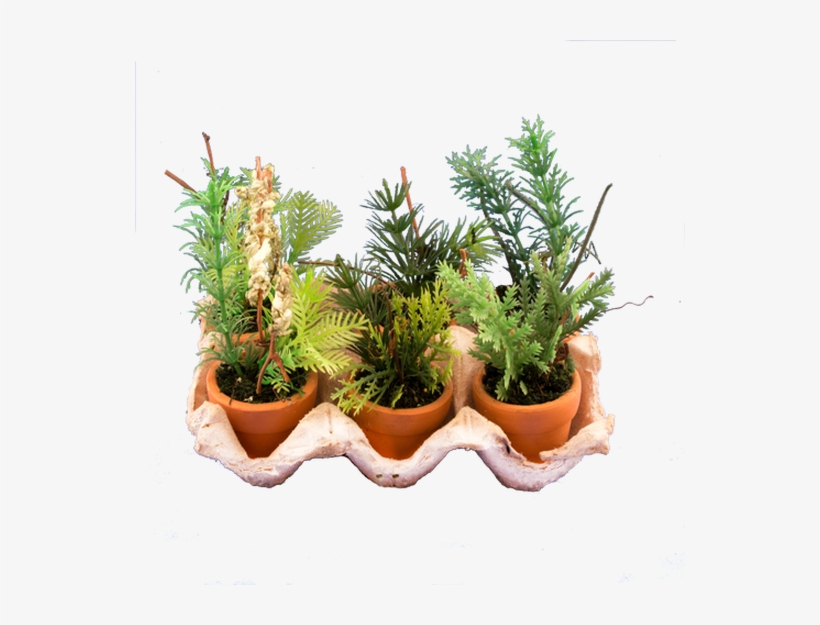 Potted Plant Png Download - Artificial Herb Pots, transparent png download