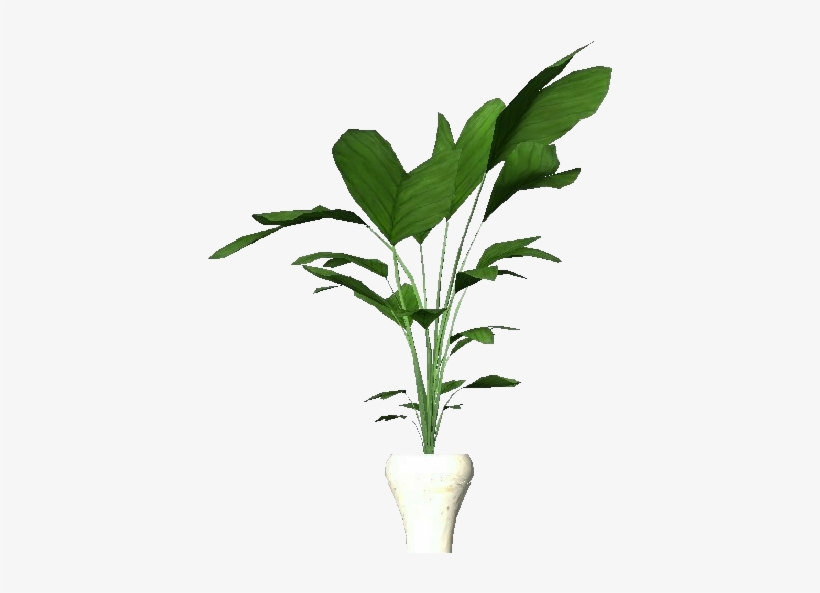 Potted Plant For Apartments - Plants, transparent png download