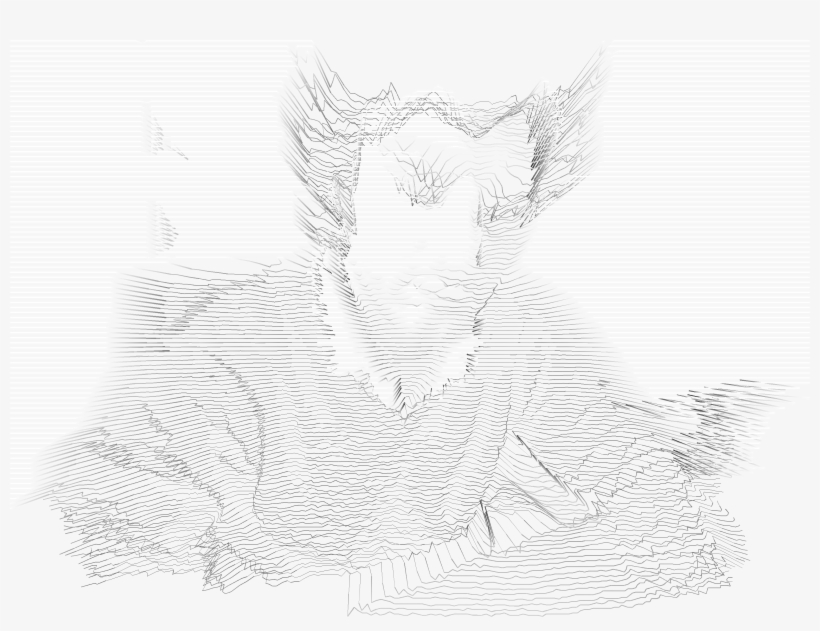 Hi-res Webcam Feed, They're Both Transparent Png - Number, transparent png download