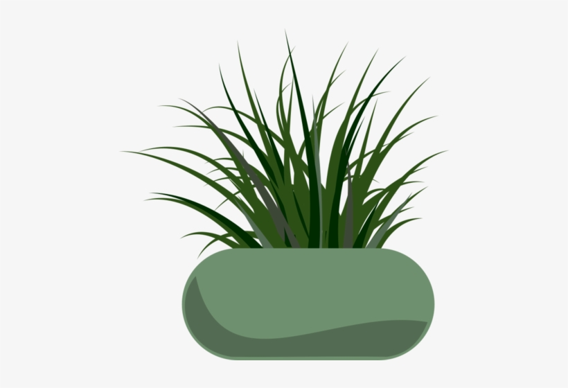 Clipart Transpa Free Gr Psd Files Vectors Graphics - Weed Grass Clip Art, transparent png download