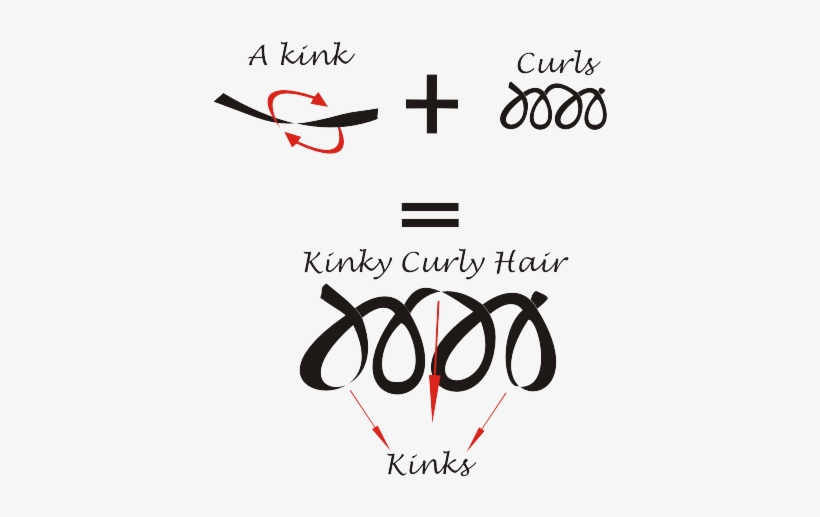 Kinks And Curls Come Together To Form Kinky Curly Hair - Kinky Hair Vs Curly Hair, transparent png download