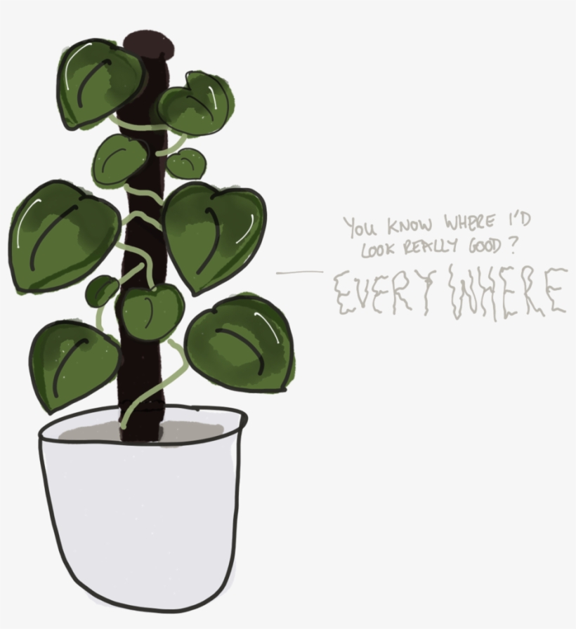 Pottedplant - Portable Network Graphics, transparent png download