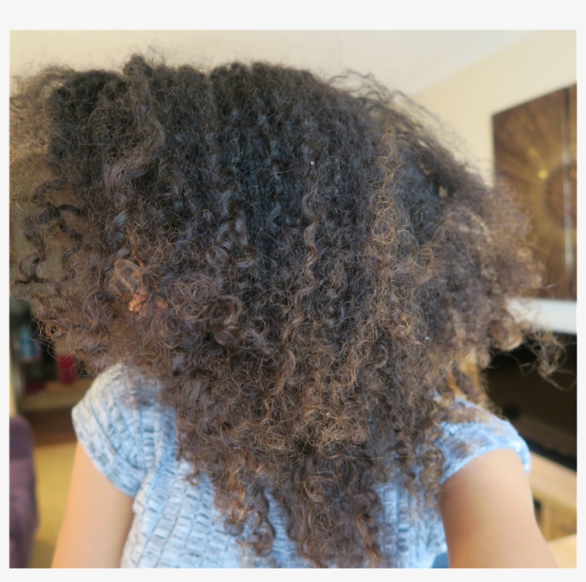 Frizzy Hair = The Cuticle Layer Of Your Hair Is Raised - Afro, transparent png download