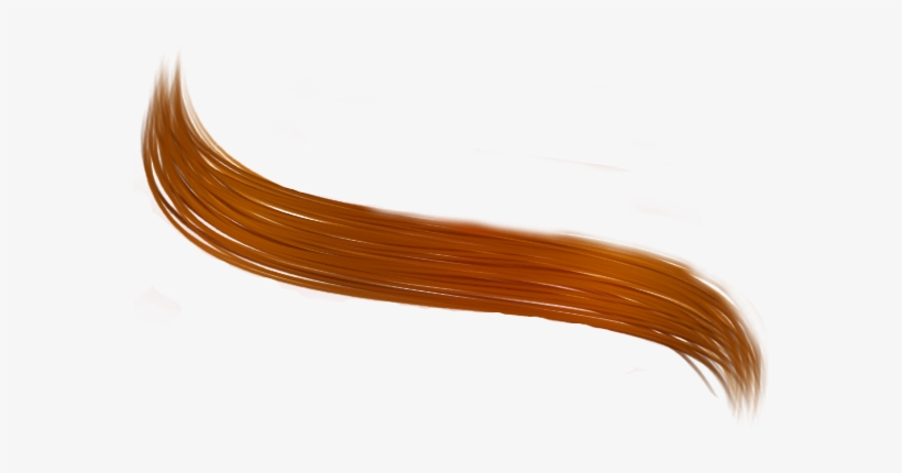Hairdrawing-1 - Wire, transparent png download