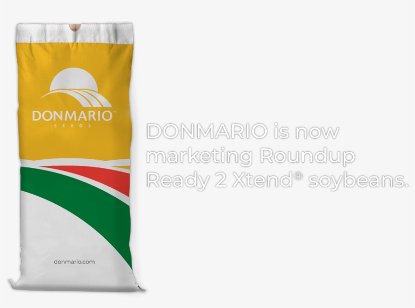 Info Bolsa Txto - Handbag, transparent png download