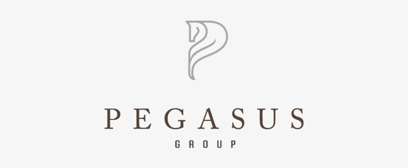 Pegasus-logo - Pegasus Group, transparent png download