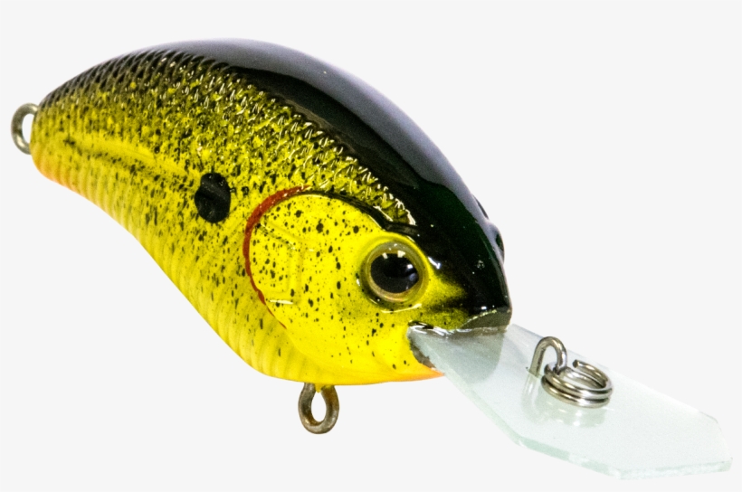 Vapor - Fin, transparent png download