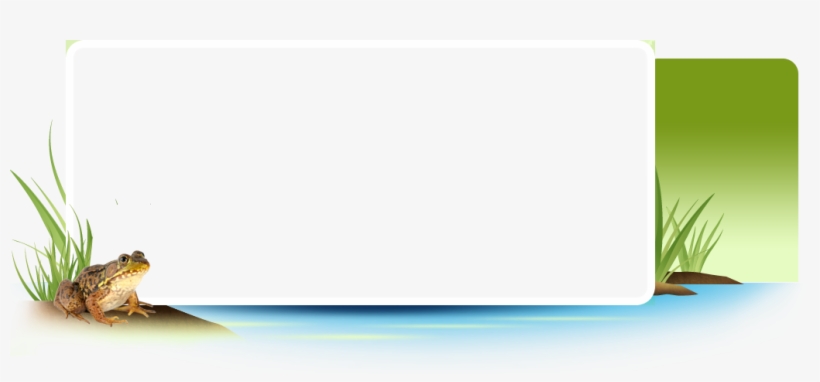 Marquee Frame - Fishing Frame Png Transparent, transparent png download