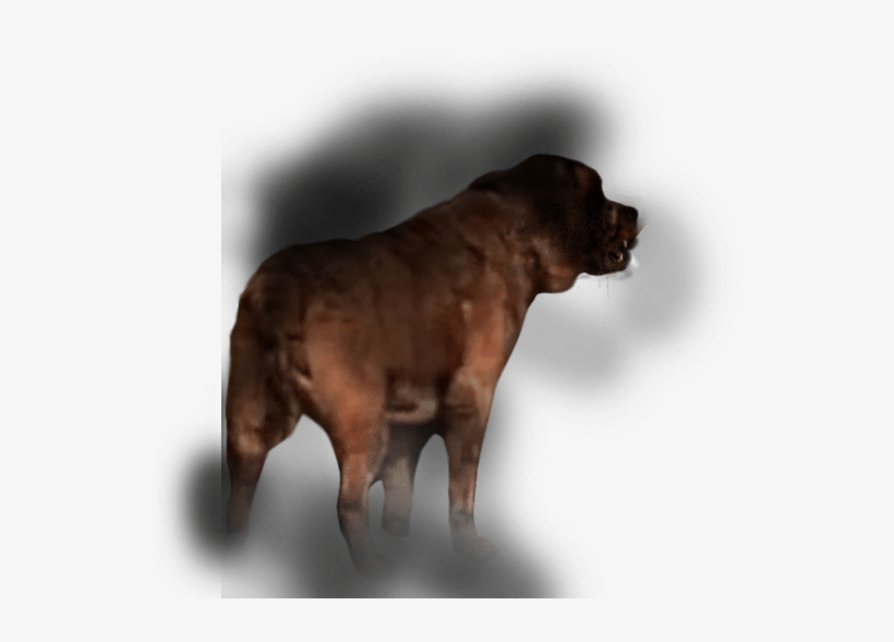 Ver Trailer - Boxer, transparent png download
