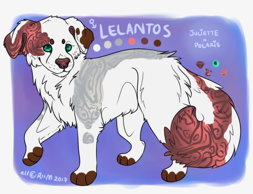 Picture - Dog Catches Something, transparent png download