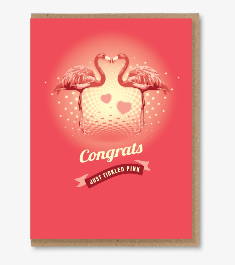 Flamingos - The Typecast Gallery, transparent png download