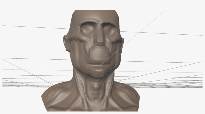 This Is A Muscle Sculpt Of The Neck - Bust, transparent png download