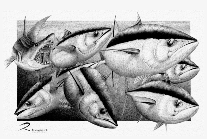 Marlin, transparent png download