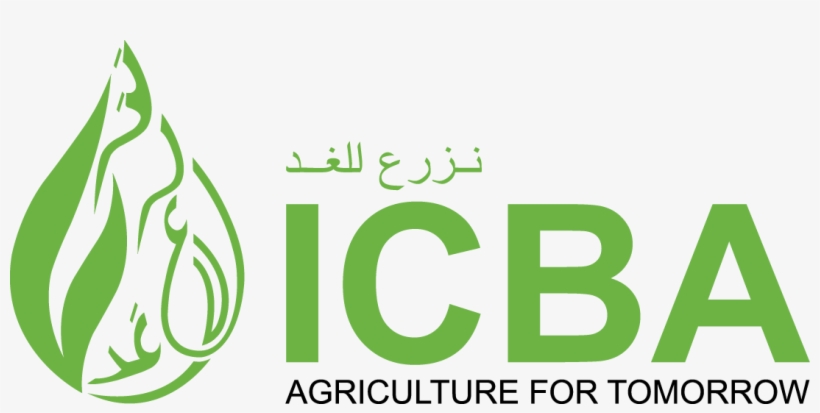 Icba Logo Color - Icba Dubai Logo, transparent png download