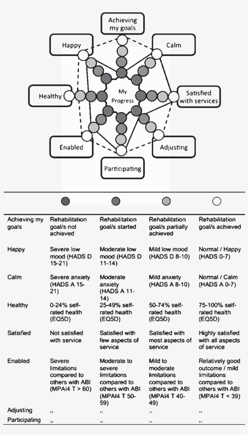 Post-acute Abi Rehabilitation Star Radar Plot, Illustrating - Diagram, transparent png download