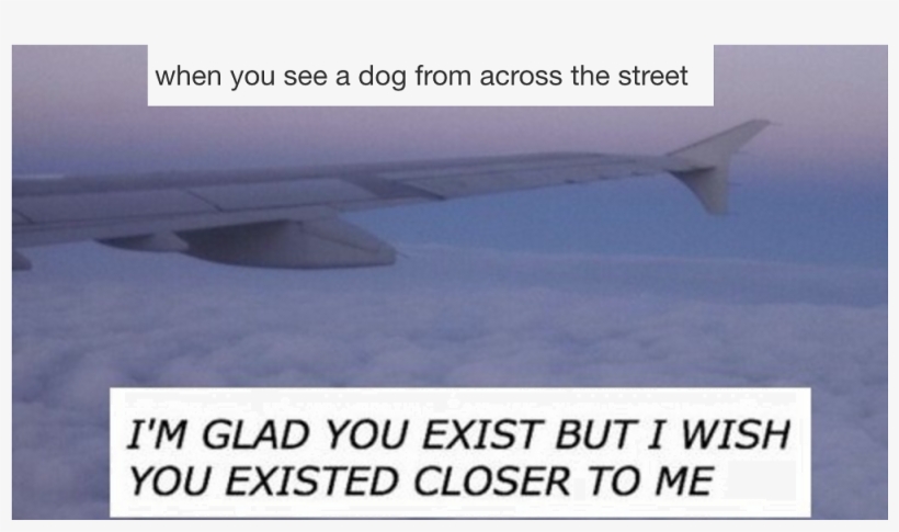 24 Times Tumblr Summarised What It's Like To Be Dog - Love, transparent png download