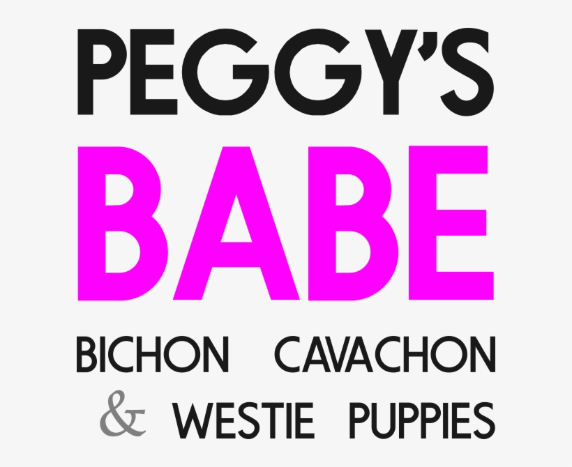 Call 265-4414 About Lifestyle & Personalities Vet Guarantee - J & L, transparent png download