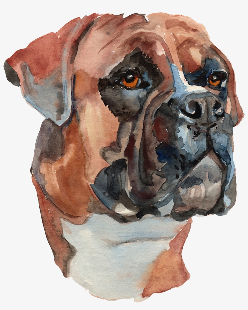 Download - Boxer Dog Vector, transparent png download
