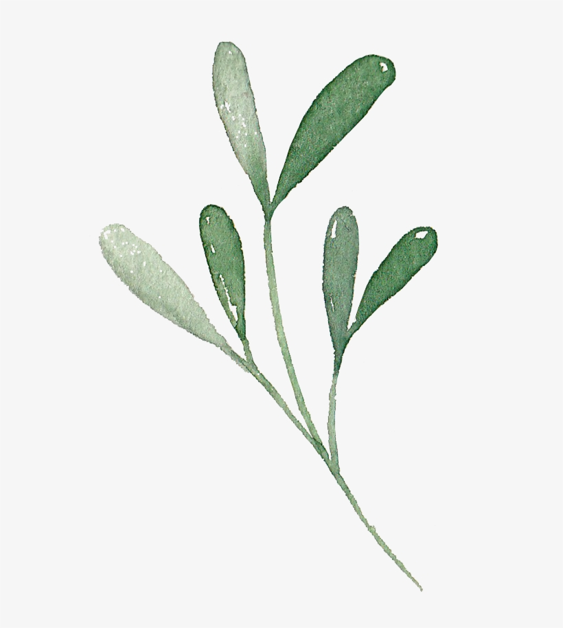 why-do-i-need-a-wedding-planner-green-png-image-transparent-png