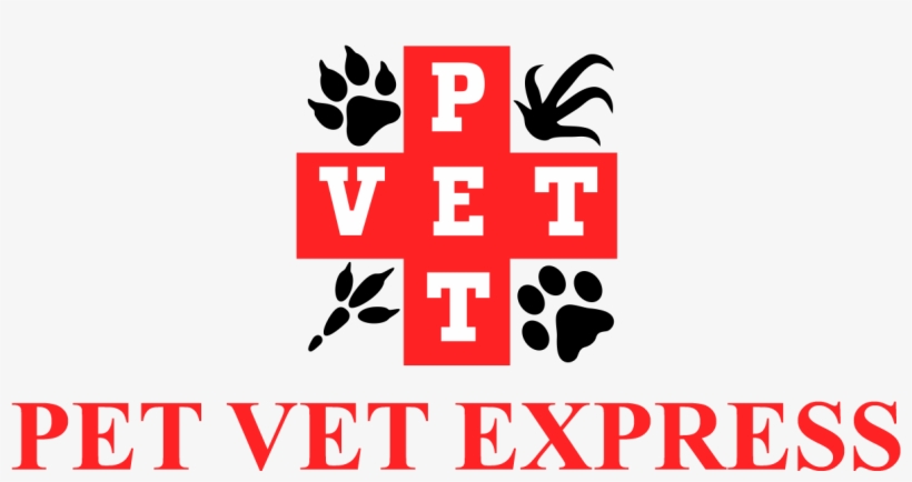 Pet Vet Express - Veterinary Physician, transparent png download