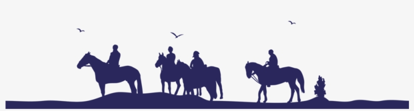 Epona-bleu Web - Stallion, transparent png download