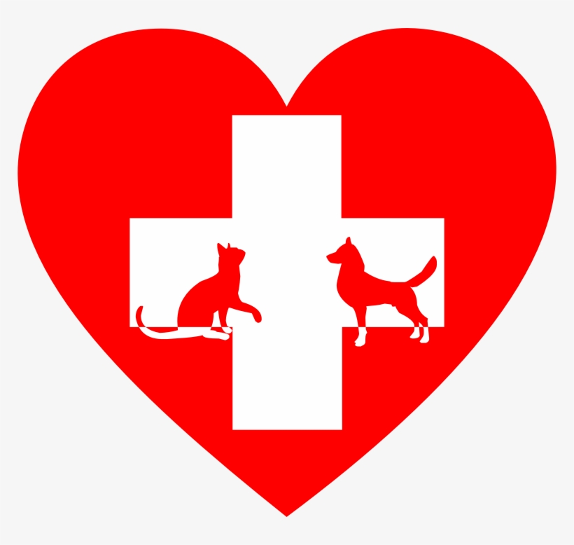 Medium Image - Clip Art Veterinarian, transparent png download