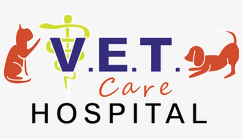 Associate Veterinarian - Veterinary Physician, transparent png download